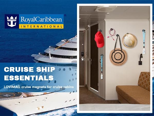 12Pcs Black Fridge Magnets, Small and Strong Magnets for Whiteboard - VINE GLOBAL