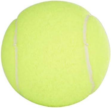 Penn Championship Tennis Balls - Regular Duty Felt Pressurized Tennis Balls - VINE GLOBAL