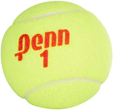 Penn Championship Tennis Balls - Regular Duty Felt Pressurized Tennis Balls - VINE GLOBAL