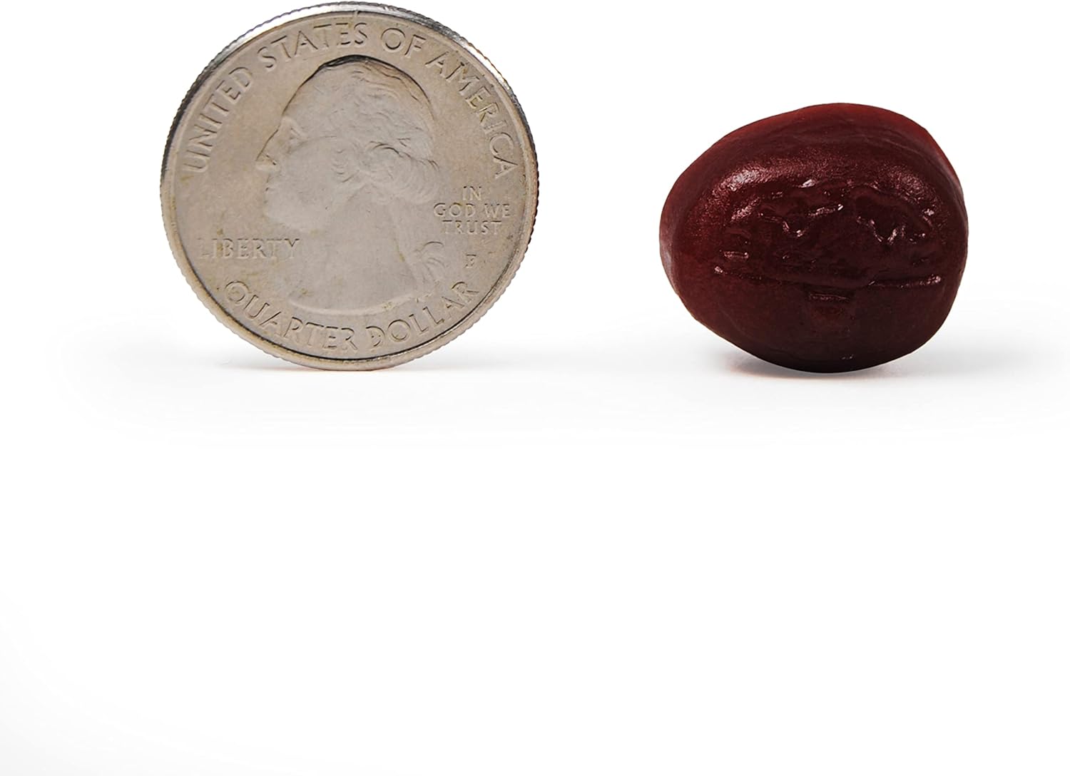 NEURIVA Plus Brain Supplement for Memory,Focus & Concentration+Cognitive Function with Vitamins B6 & B12 Gummies - VINE GLOBAL