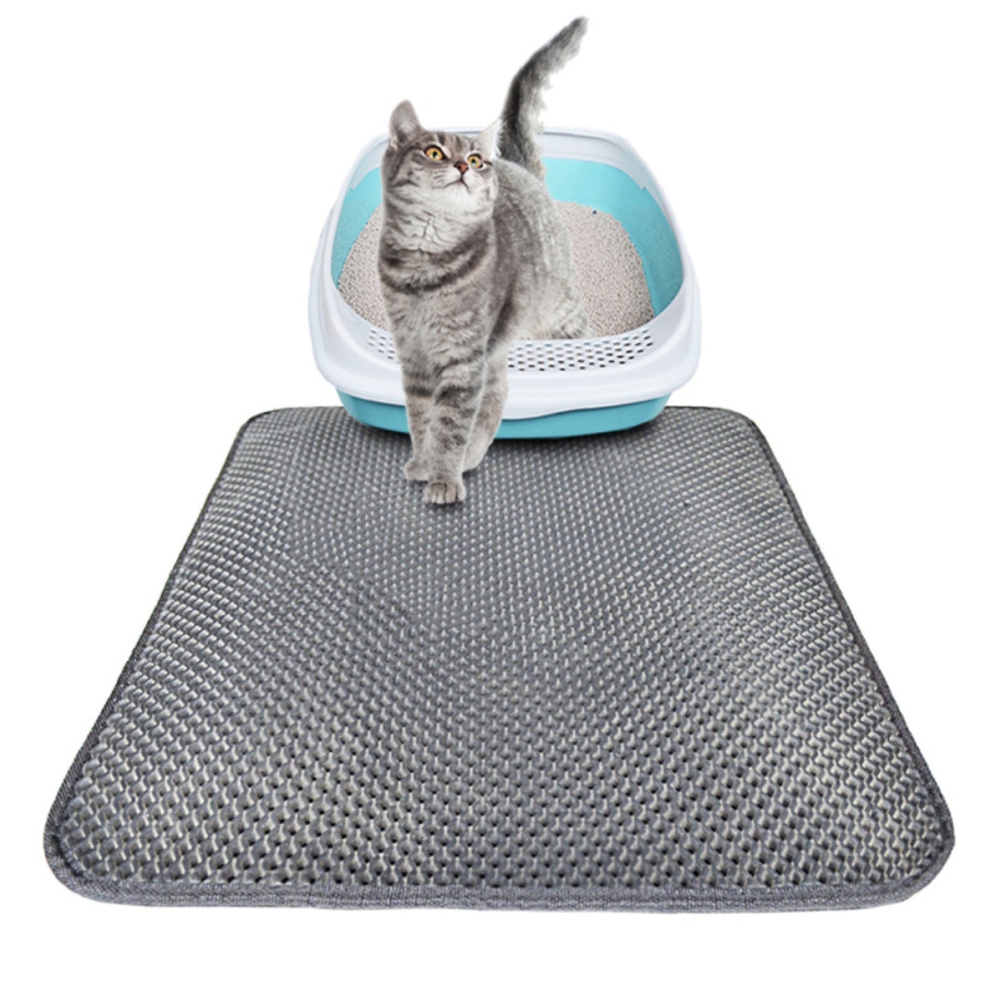 Double Layer Litter Cat Bed Pads Pet Cat Litter Mat Trapping Pets Litter Box Mat Pet Product Bed For Cats House Clean Mat - VINE GLOBAL