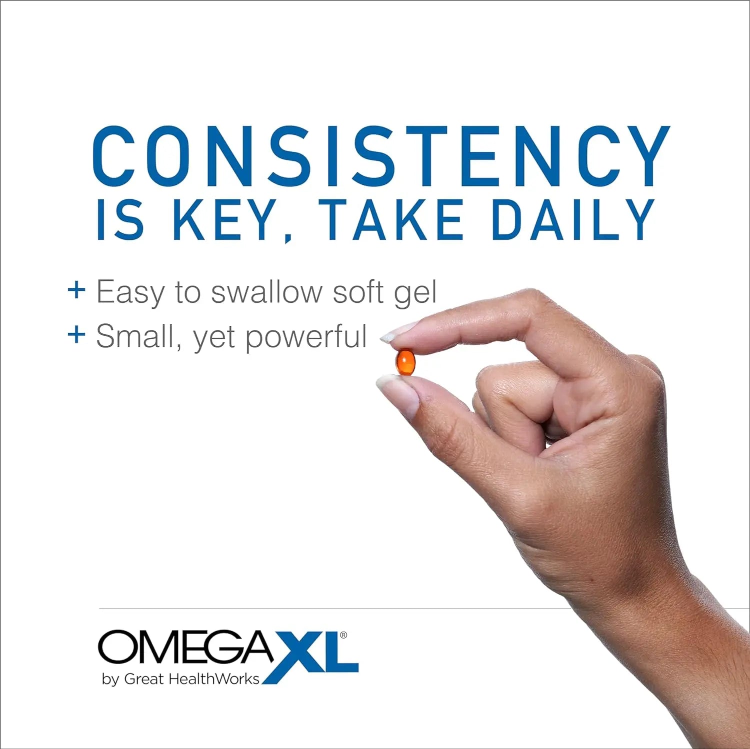 OmegaXL Joint Support Supplement, for Relief - Natural Muscle Support, Green Lipped Mussel Oil, Soft Gel Pills, Drug-Free, 60 Count VINE GLOBAL