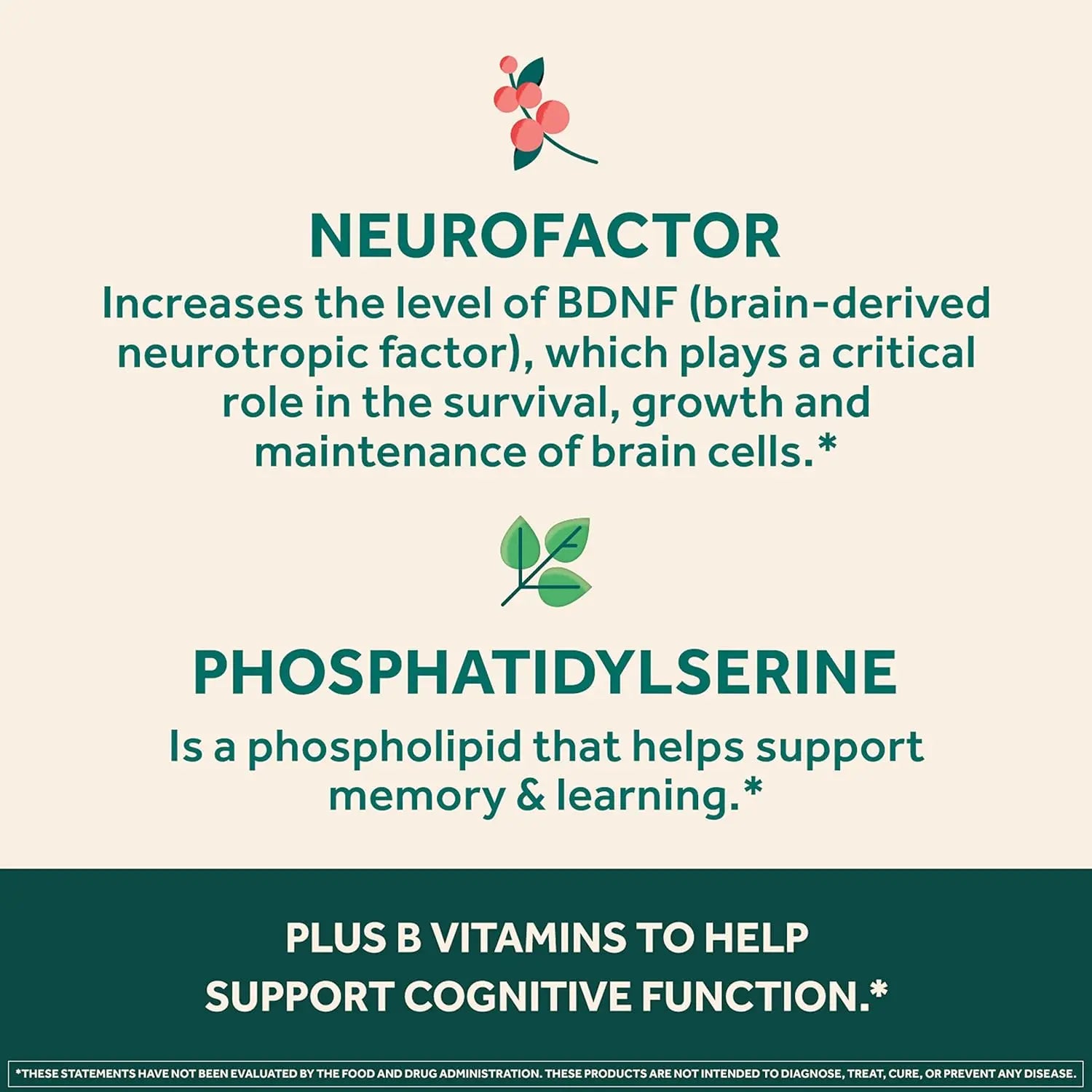 NEURIVA Ultra Decaffeinated Clinically Tested Nootropic Brain Supplement for Mental Alertness, Memory, Focus & Concentration, Cognivive, Neurofactor, Phosphatidylserine, Vitamins B6 B12, 60 Capsules VINE GLOBAL