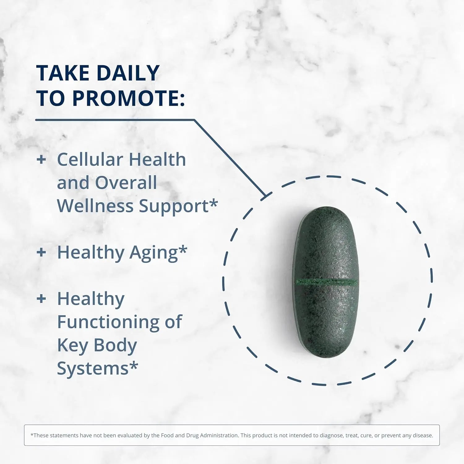 Metagenics PhytoMulti Multivitamin Without Iron - Daily Multivitamin for Overall Health & Aging - 20+ Essential Vitamins & Minerals - with Vitamin B6, Lutein, Zeaxanthin & More - 120 Tablets VINE GLOBAL