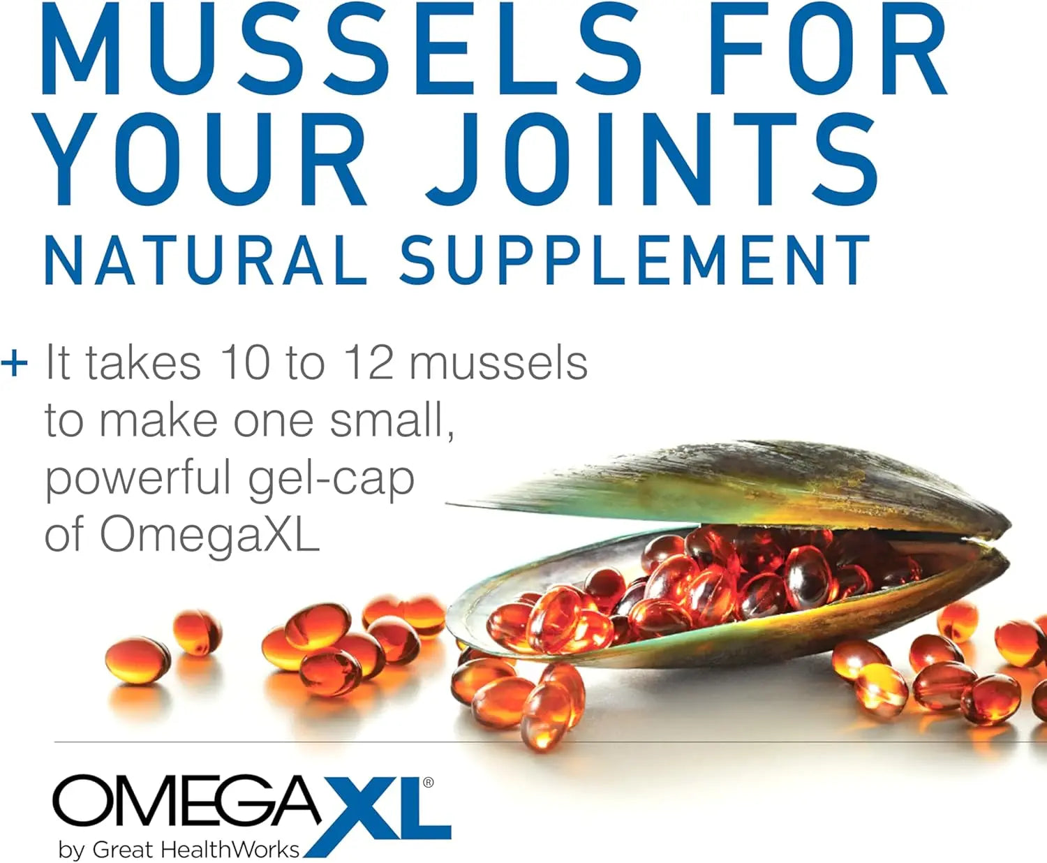 OmegaXL Joint Support Supplement, for Relief - Natural Muscle Support, Green Lipped Mussel Oil, Soft Gel Pills, Drug-Free, 60 Count VINE GLOBAL