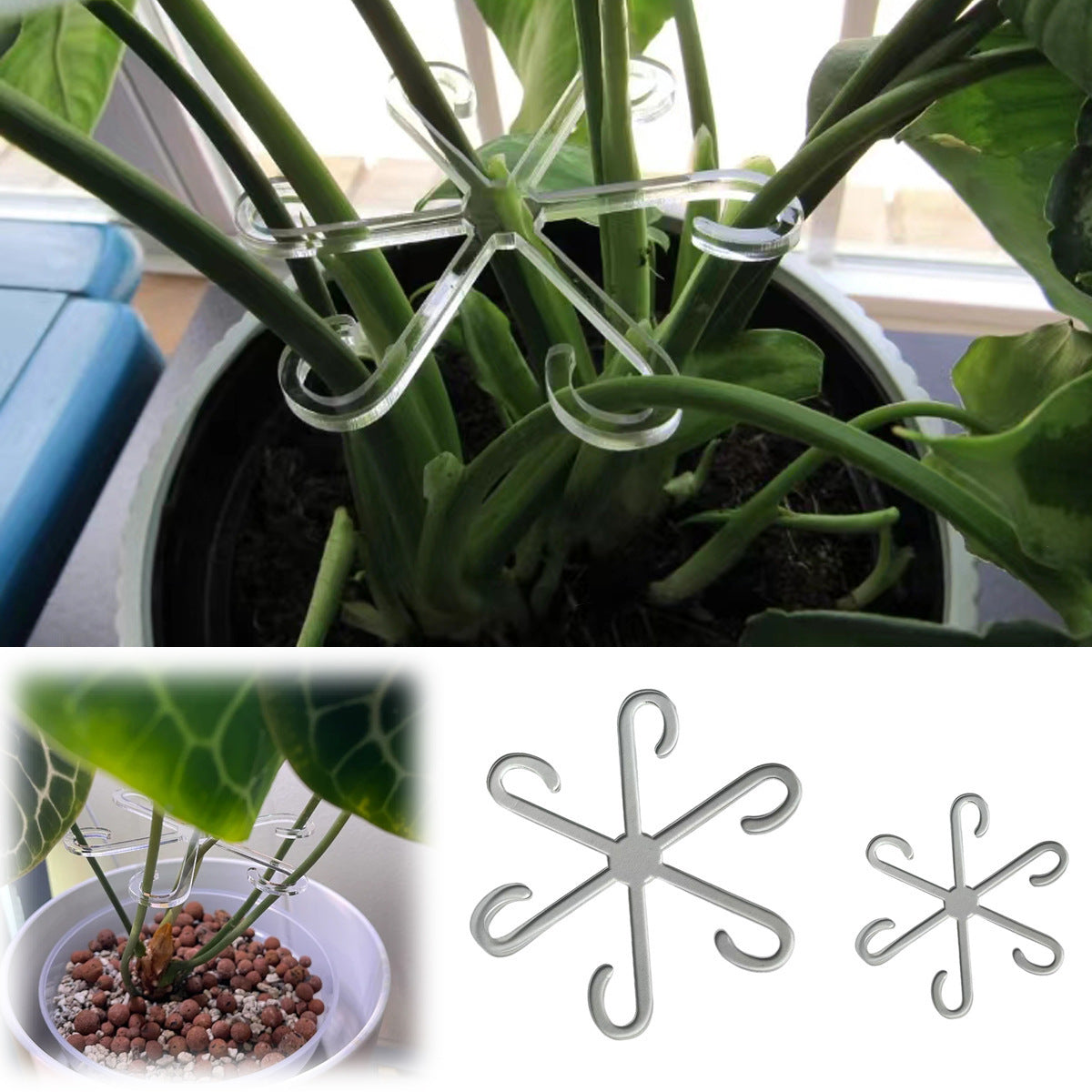 Garden Vegetable Plant Rhizome Holder - VINE GLOBAL