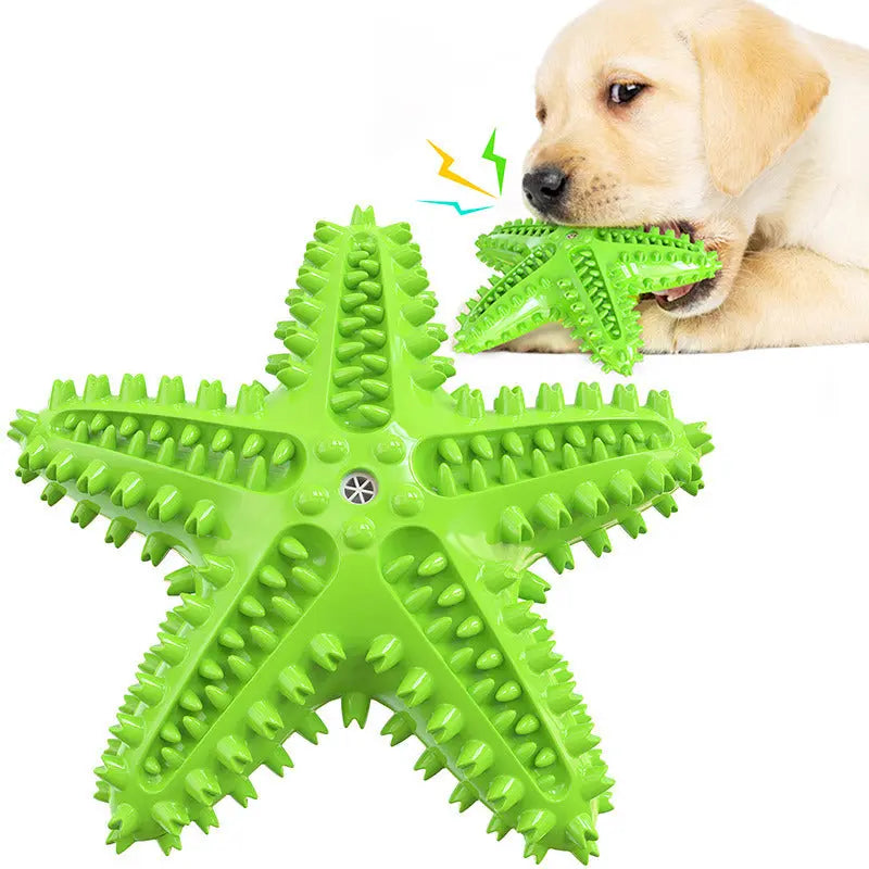 Sea Star Shaped Dog Toothbrush with Sound Pet Teeth Grinding Toy Dog Sound Toy - VINE GLOBAL