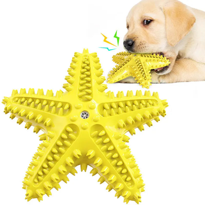 Sea Star Shaped Dog Toothbrush with Sound Pet Teeth Grinding Toy Dog Sound Toy - VINE GLOBAL