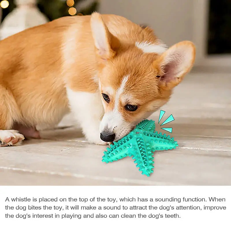 Sea Star Shaped Dog Toothbrush with Sound Pet Teeth Grinding Toy Dog Sound Toy - VINE GLOBAL
