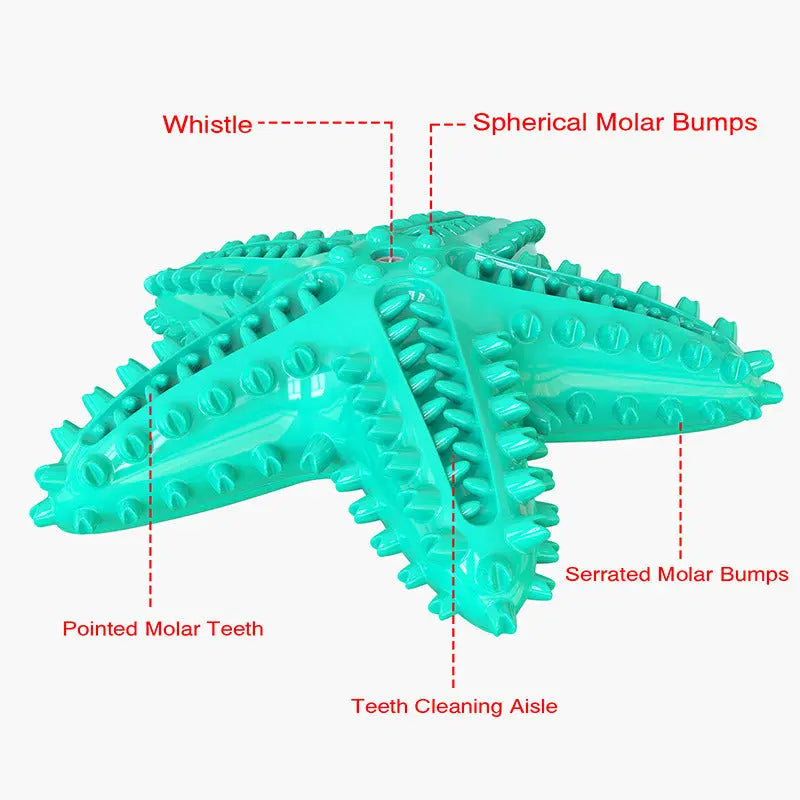 Sea Star Shaped Dog Toothbrush with Sound Pet Teeth Grinding Toy Dog Sound Toy - VINE GLOBAL