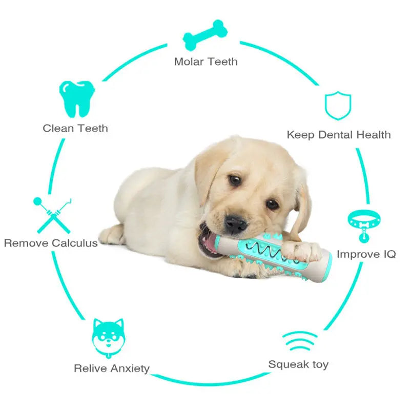 Dog Molar Toothbrush Toys Chew Cleaning Teeth Safe Puppy Dental Care Soft Pet Cleaning Toy Supplies - VINE GLOBAL