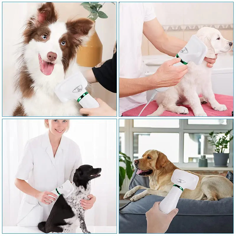 Pet hair comb Dog and cat hair dryer 2 and 1 pet supplies Pet hair Dryer with Slicker Brush; pet grooming - VINE GLOBAL