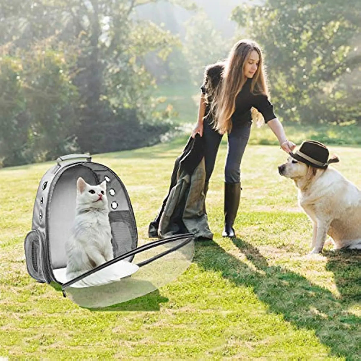 Cat Backpack Carrier Bubble Bag; Small Dog Backpack Carrier for Small Dogs; Space Capsule Pet Carrier Dog Hiking Backpack Airline Approved Travel Carrier - VINE GLOBAL