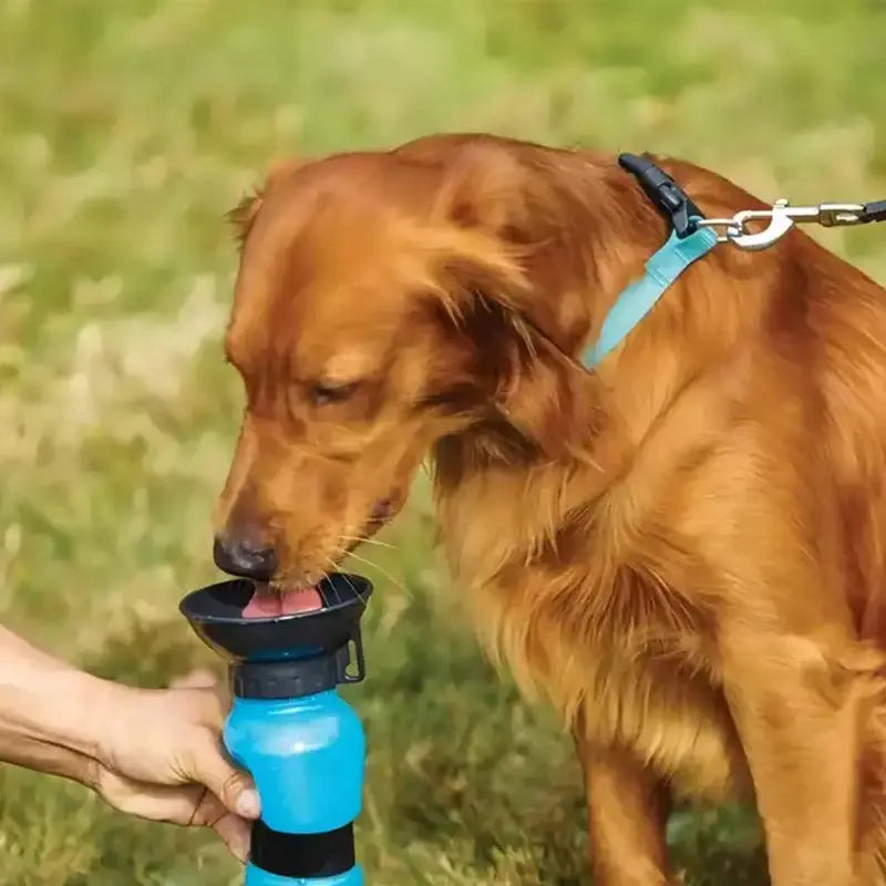 1pc Dog Water Bottle; Plastic Dog & Cat Water Bottle Mug 500ml For Outdoor Travel - VINE GLOBAL