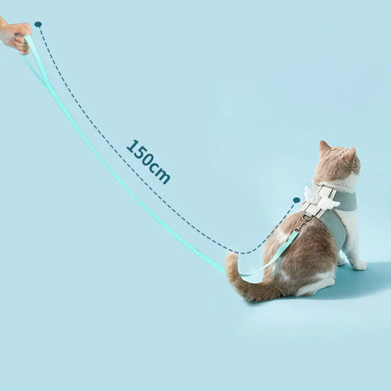 Adjustable Pet Cat Leash Set, Angel Wings Design, Breathable, And Soft For Comfort Cat Harness And Leash Set, Adjustable Gradient Kitten Harness Escape Proof Harness With Leash For Kitty - VINE GLOBAL
