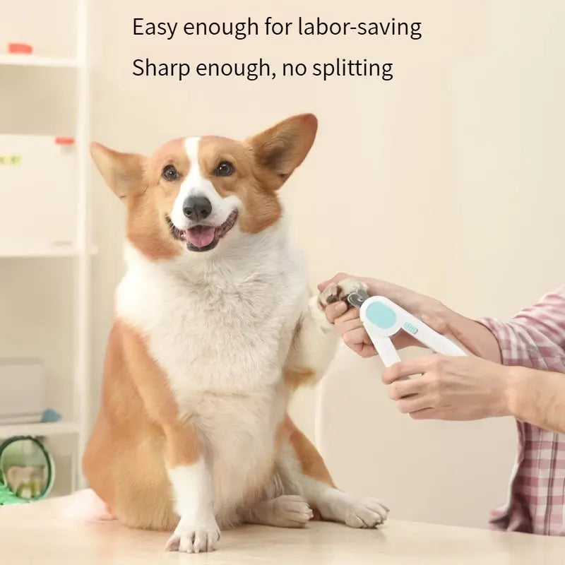 Dog And Cat Nail Clippers, Pet Nail Trimmers With LED Light, And Circular Cut-hole Cat Paw Cutter Dogs Nail Cutter Avoid Excessive Cutting - VINE GLOBAL