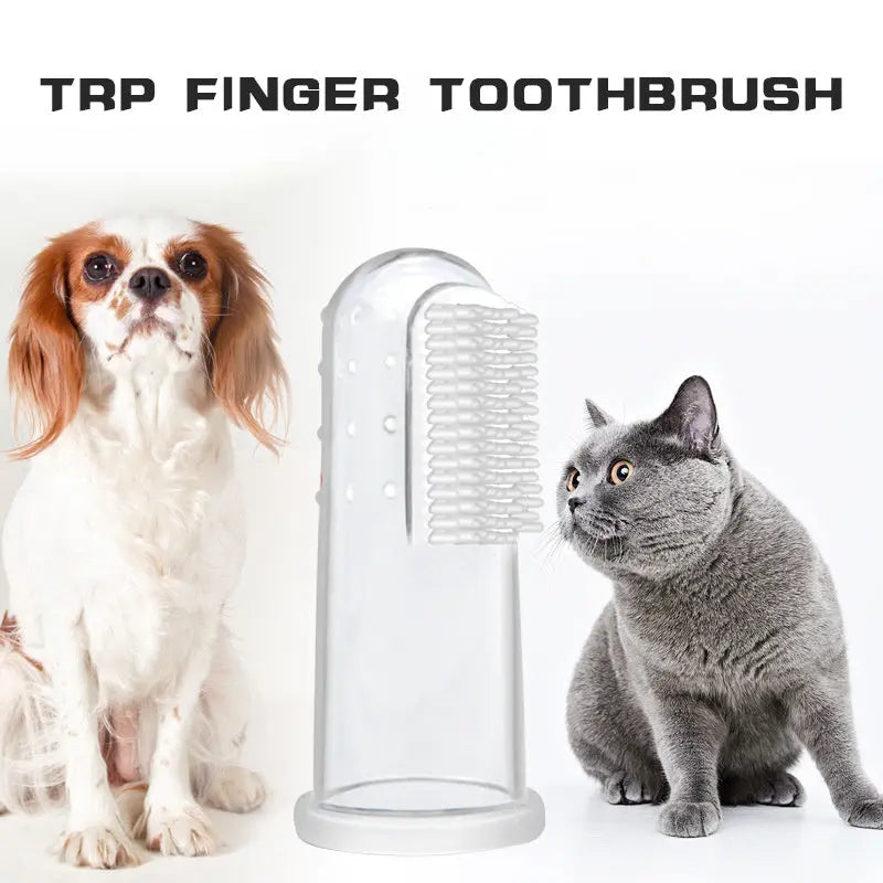 Oral Hygiene Kit For Cats And Dogs 3 Piece Set With Dual Ended Toothbrush, Finger Brush, And Poultry Flavor Tube Of Toothpaste Remove Plaque Tartar Buildup - VINE GLOBAL