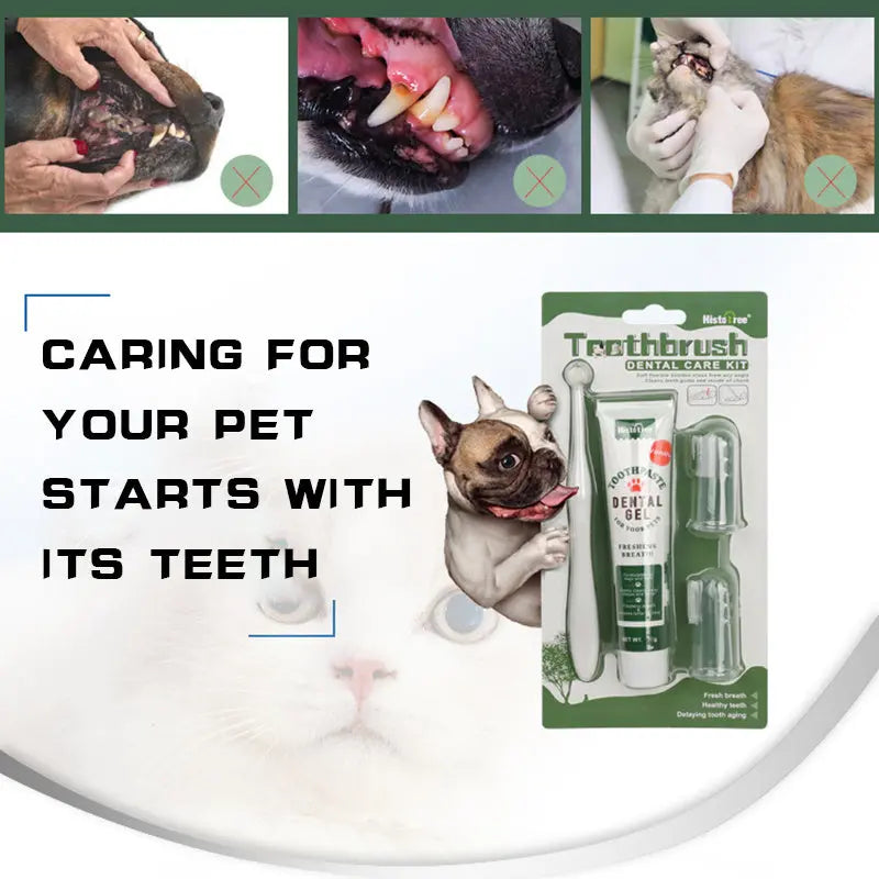 Oral Hygiene Kit For Cats And Dogs 3 Piece Set With Dual Ended Toothbrush, Finger Brush, And Poultry Flavor Tube Of Toothpaste Remove Plaque Tartar Buildup - VINE GLOBAL