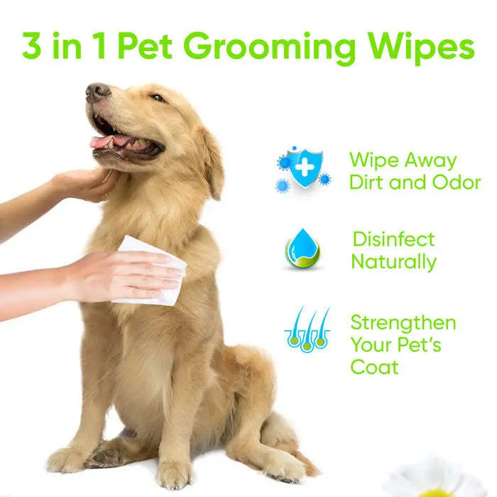 Pet and dog Grooming Cleaning Wipes - VINE GLOBAL
