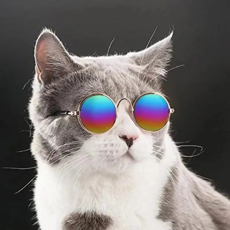 Pet Sunglasses Dog Cat Vintage Round Reflection Glasses for Photos Props Fashion Accessories - VINE GLOBAL