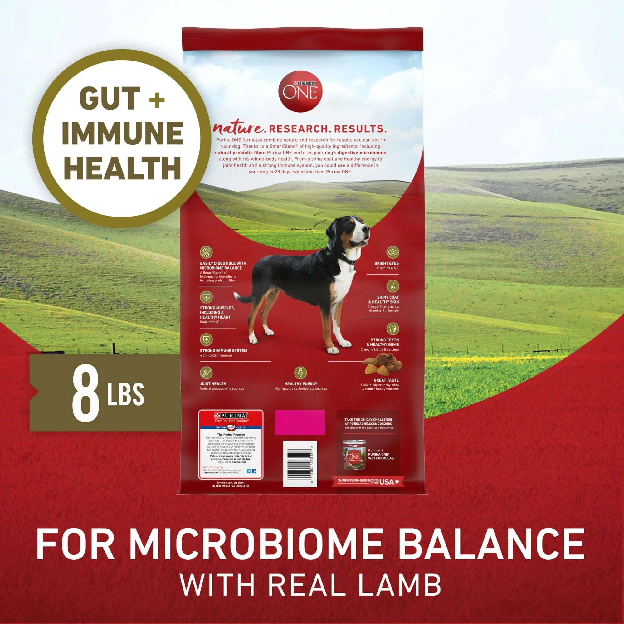 Purina ONE Dry Dog Food Lamb and Rice Formula - VINE GLOBAL