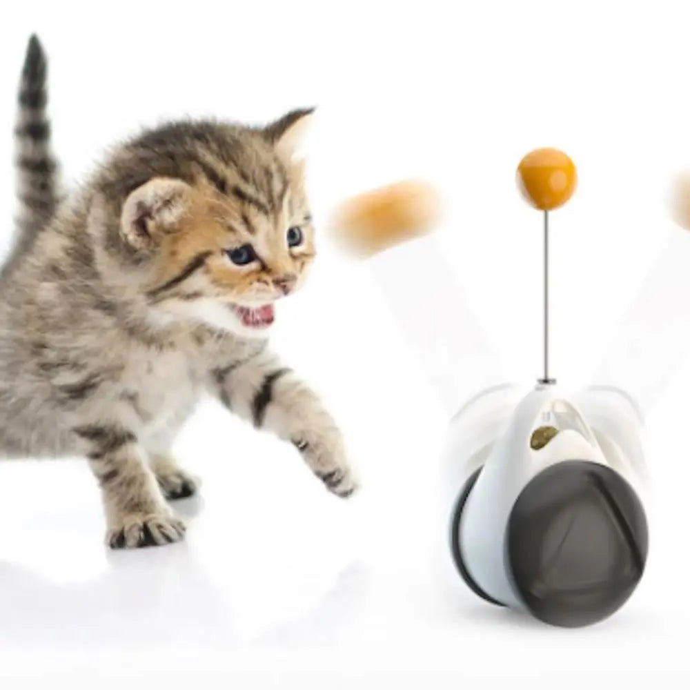 Cats Tumbler Swinging Ball - VINE GLOBAL