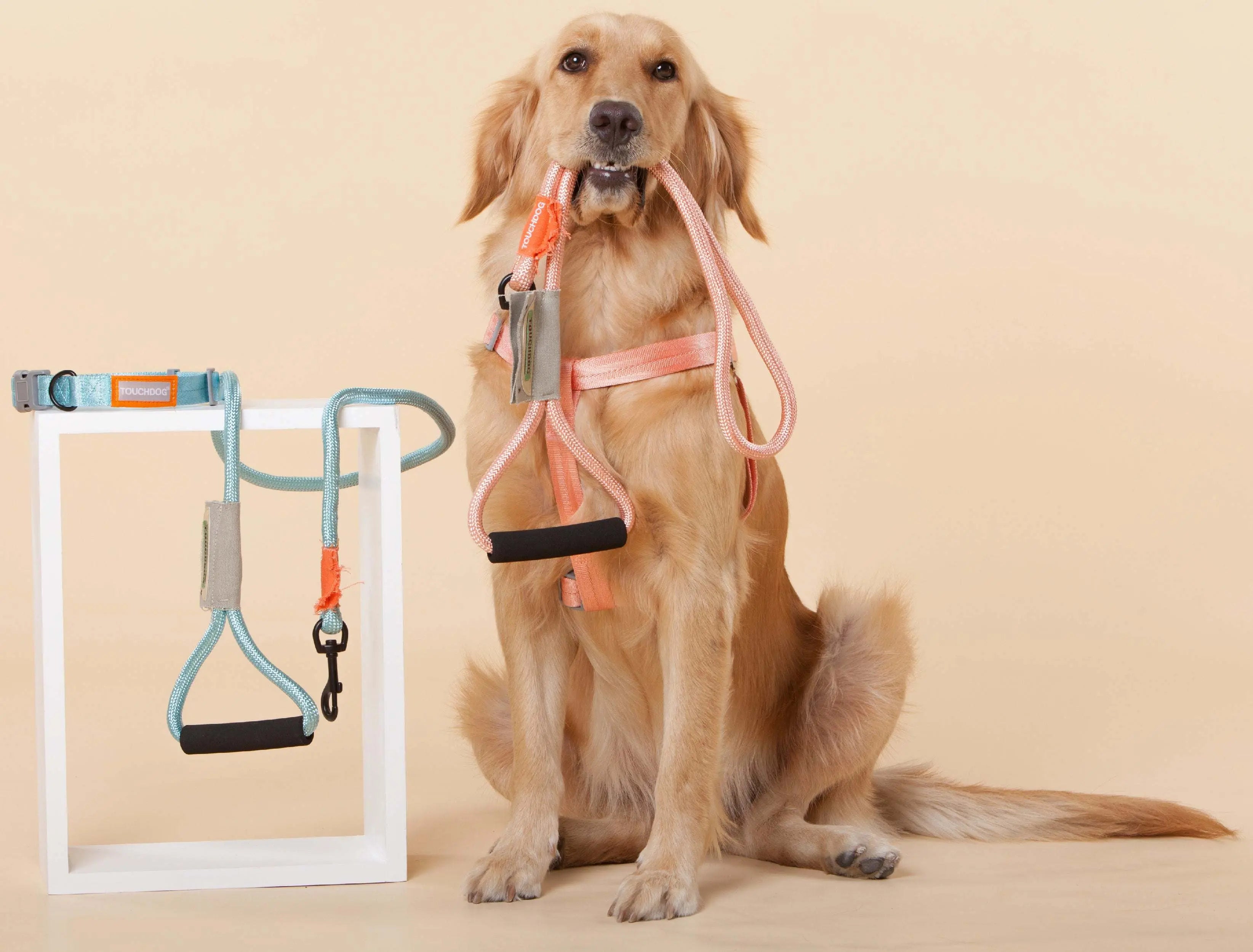 Touchdog 'Macaron' 2-in-1 Durable Nylon Dog Harness and Leash - VINE GLOBAL