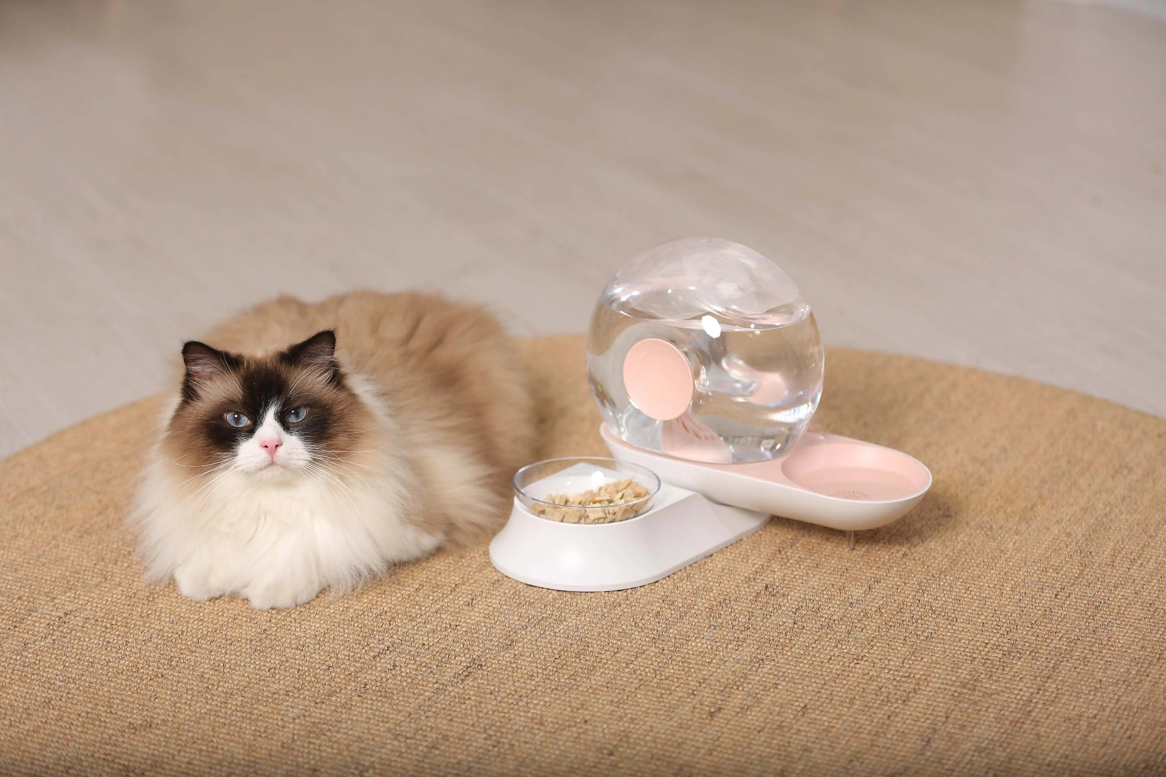 Pet Life 'Auto-Myst' Snail Shaped 2-in-1 Automated Gravity Pet Filtered Water Dispenser and Food Bowl - VINE GLOBAL