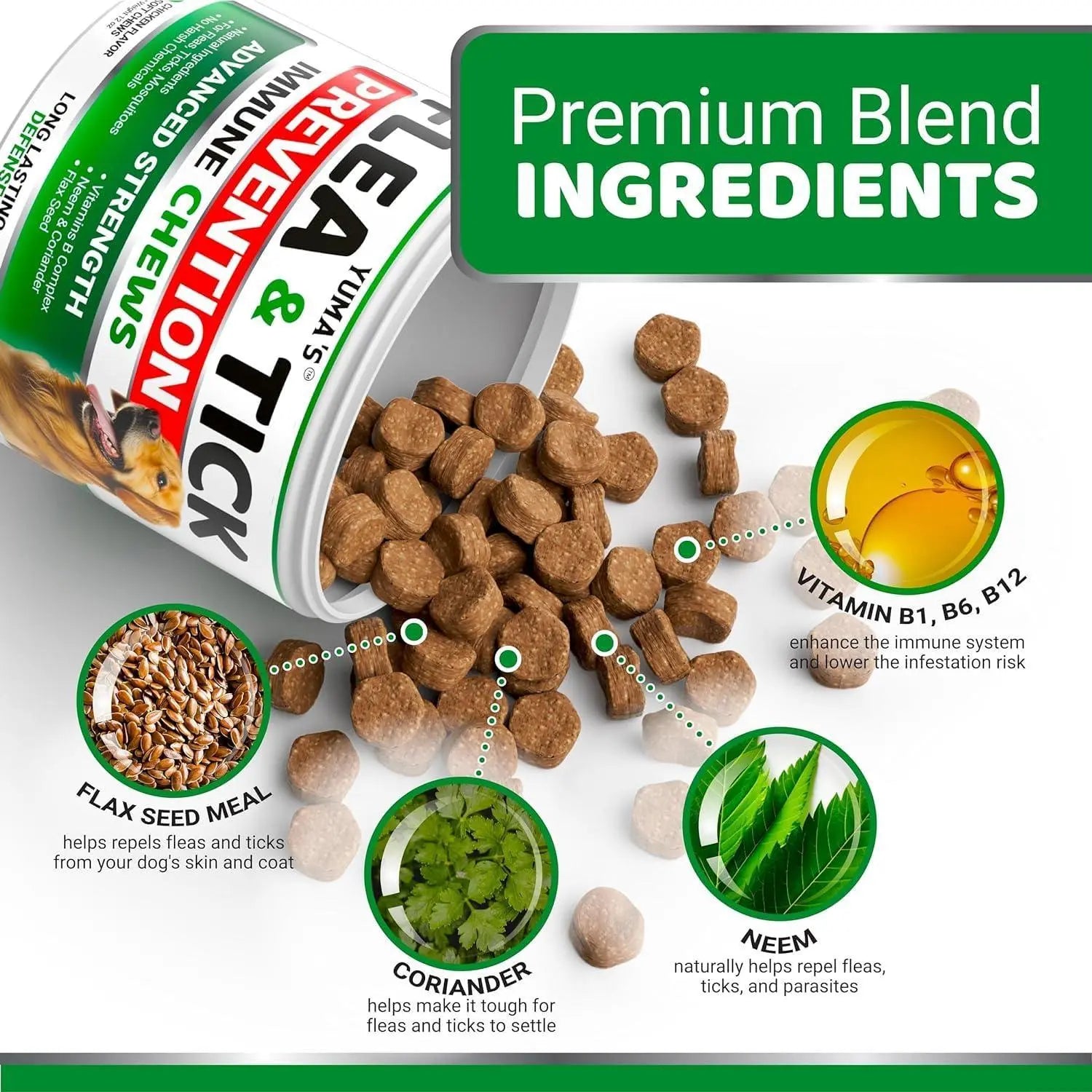 2 Pack Flea and Tick Prevention for Dogs Chewables Natural Dog Flea and Tick Treatment Chewable Flea and Tick Chews for Dogs Soft Oral Flea Pills for Dogs All Breeds & Ages Made in USA - VINE GLOBAL