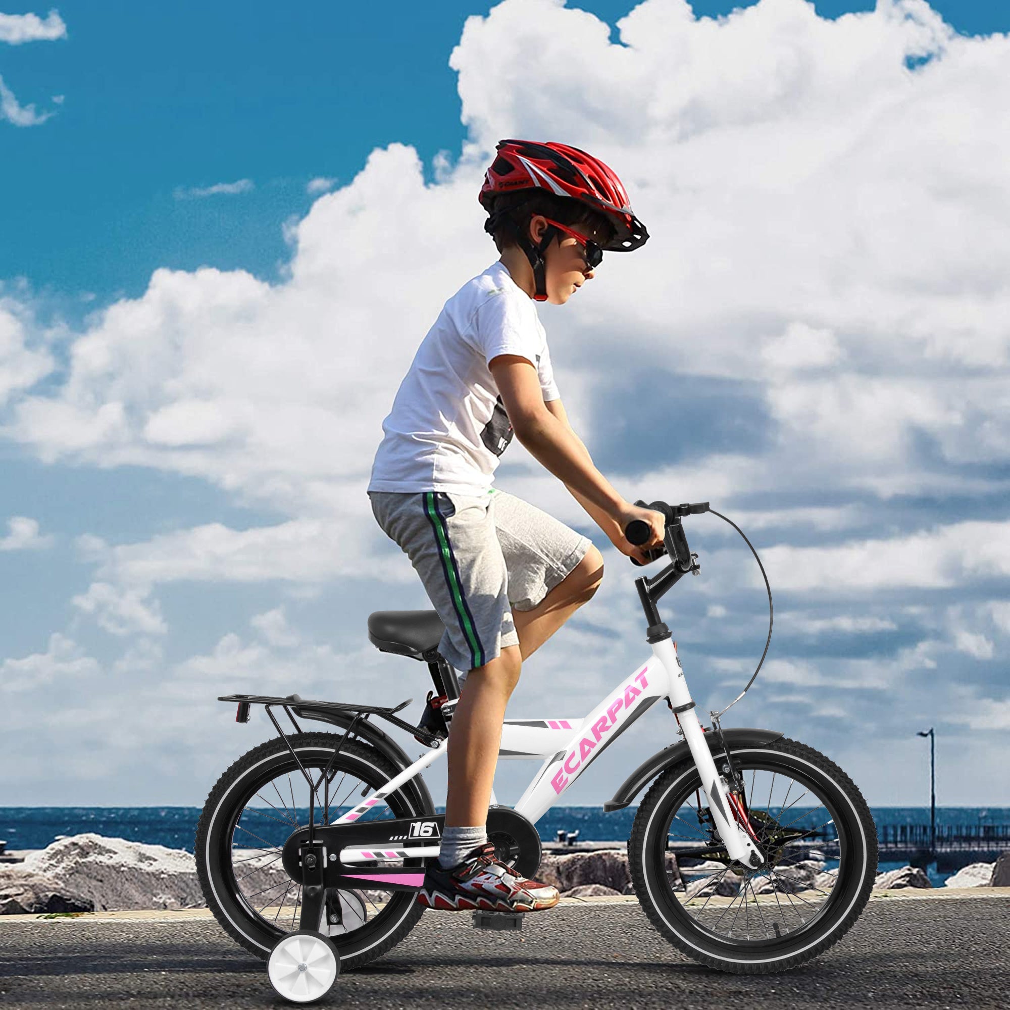 A14115 Kids Bike 14 inch for Boys & Girls with Training Wheels, Freestyle Kids' Bicycle with fender and carrier. - VINE GLOBAL