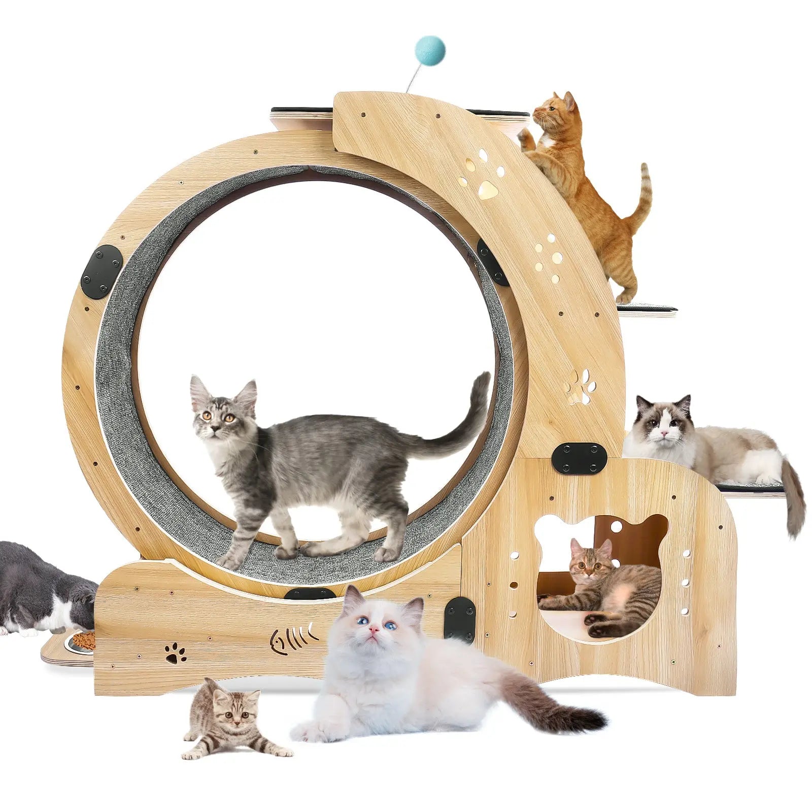 Cat Wheel 4-in-1 Cat Exercise Wheel,Upgraded Cat Wheel Exerciser for Indoor Cats,Large Cat Treadmill,Cat Running Wheel with Silent Wheel,Cat Walking Wheel Cat Furniture Cat Toys - VINE GLOBAL