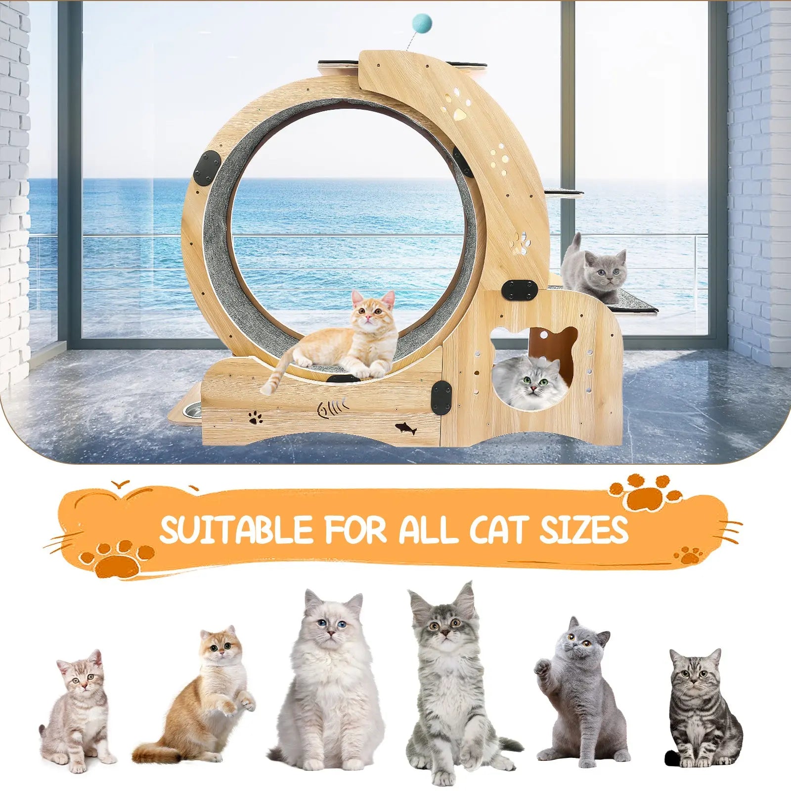 Cat Wheel 4-in-1 Cat Exercise Wheel,Upgraded Cat Wheel Exerciser for Indoor Cats,Large Cat Treadmill,Cat Running Wheel with Silent Wheel,Cat Walking Wheel Cat Furniture Cat Toys - VINE GLOBAL