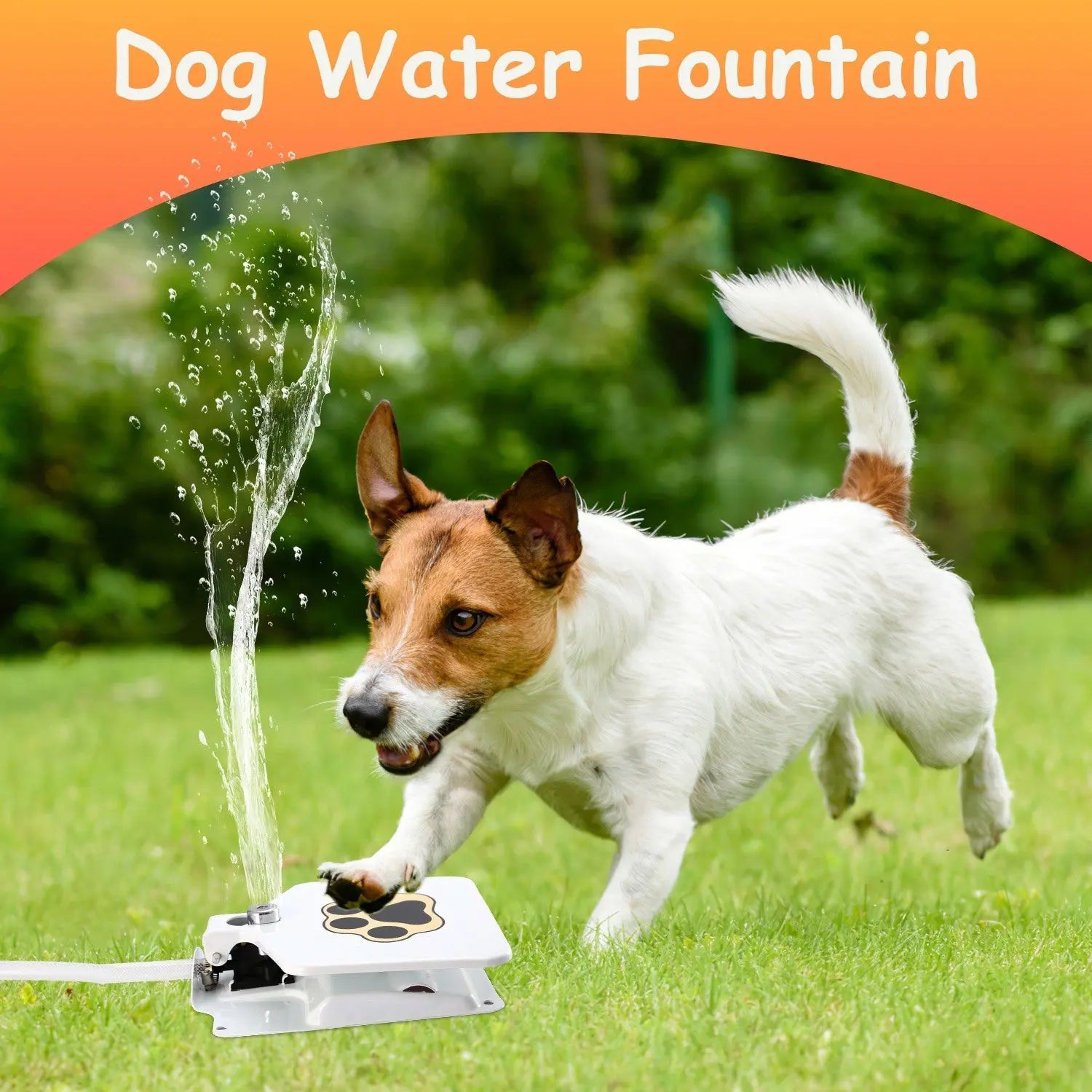 Dog Water Fountain Outdoor Dog Pet Water Dispenser Step-on Activated Sprinkler - VINE GLOBAL