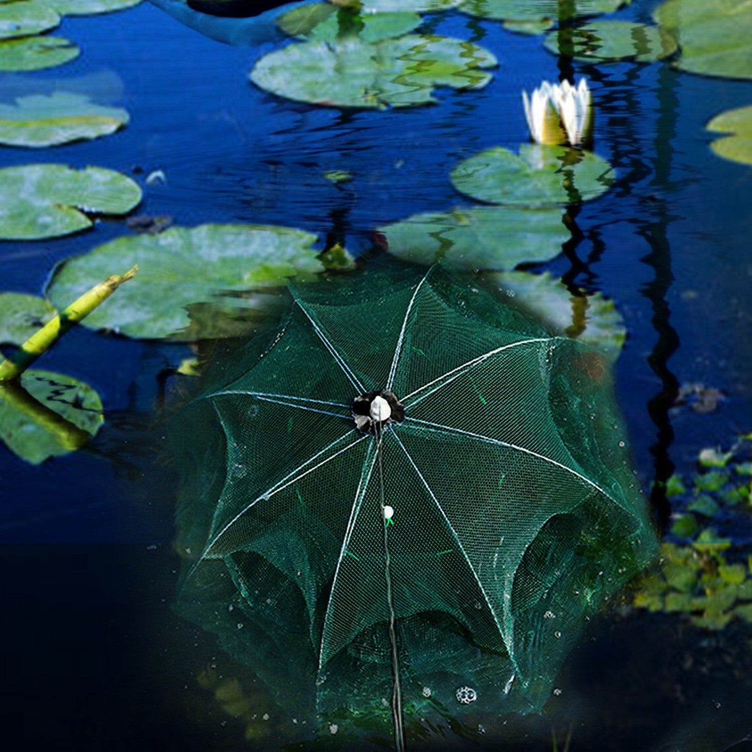 Fishing Trap Net Portable Folded Fishing Bait Trap Shrimp Minnow Crab Bait Net - VINE GLOBAL