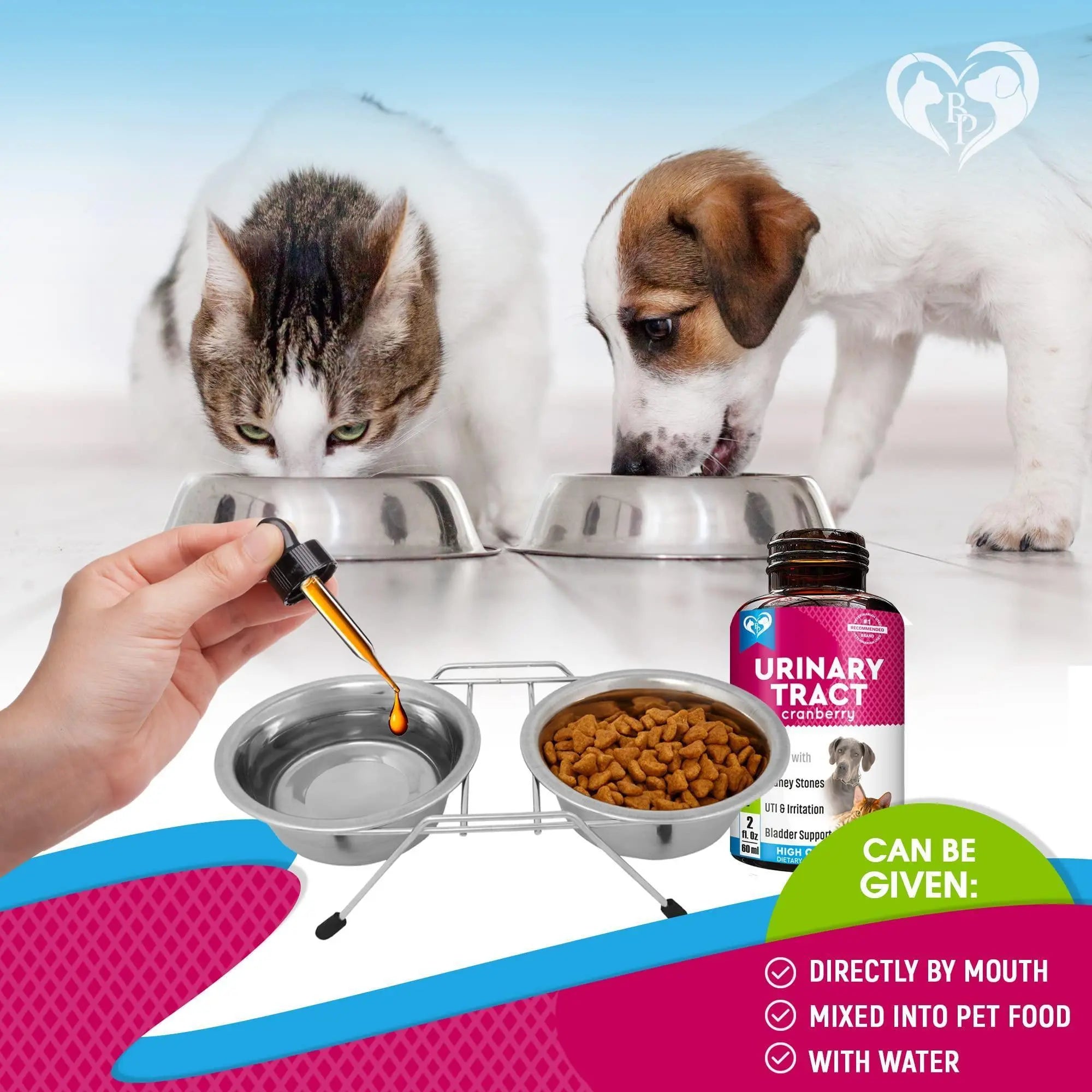 Cat Dog Urinary Tract Infection Treatment Natural UTI Medicine Cranberry Kidney Bladder Support Supplement Pet Renal Health UTI Care Drops - VINE GLOBAL