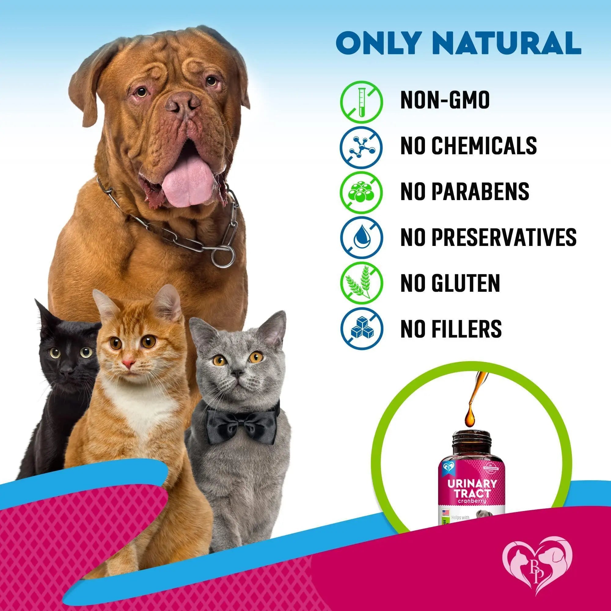Cat Dog Urinary Tract Infection Treatment Natural UTI Medicine Cranberry Kidney Bladder Support Supplement Pet Renal Health UTI Care Drops - VINE GLOBAL