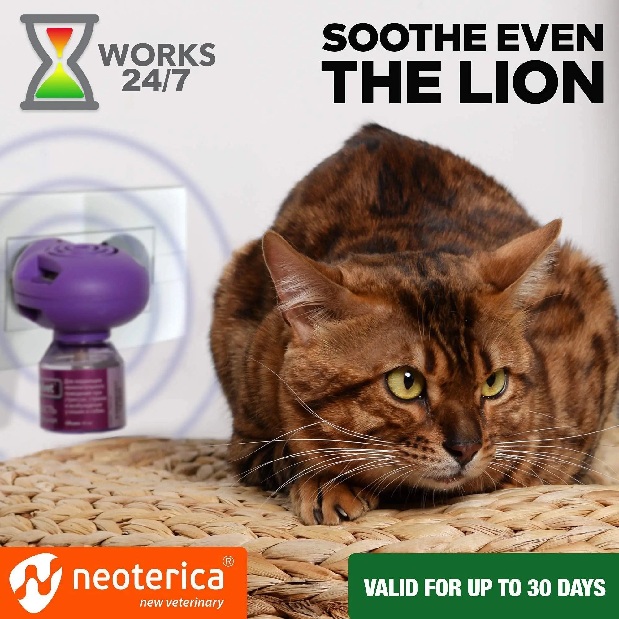 Calming Cat Diffuser Refill 6 Pcs Anti Anxiety Pet Products Feline Calm Pheromones Cats Comfort Stress Relief Help with Pee New Zone Aggression Fighting with Dogs Behavior Control - VINE GLOBAL