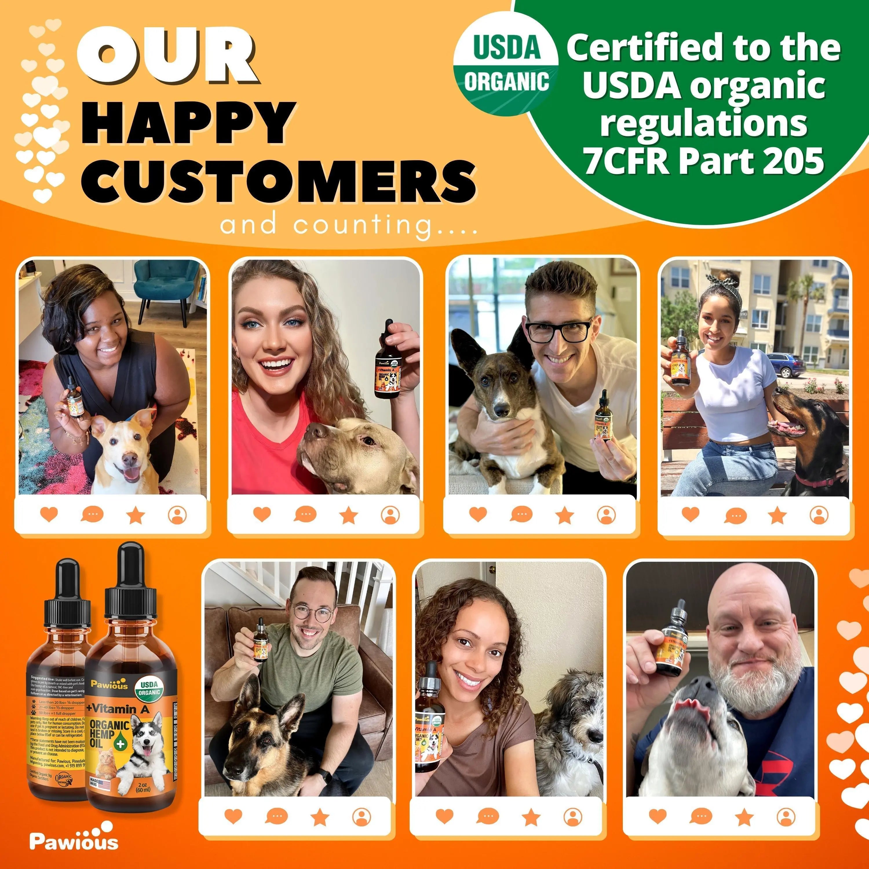 Hemp Oil for Dogs and Cats Large 2oz Bottle Made in USA Joint Pain and Anxiety Relief Arthritis Seizures Calming Aid Supplement with Vitamins A C E and Omega 3 6 9 - VINE GLOBAL