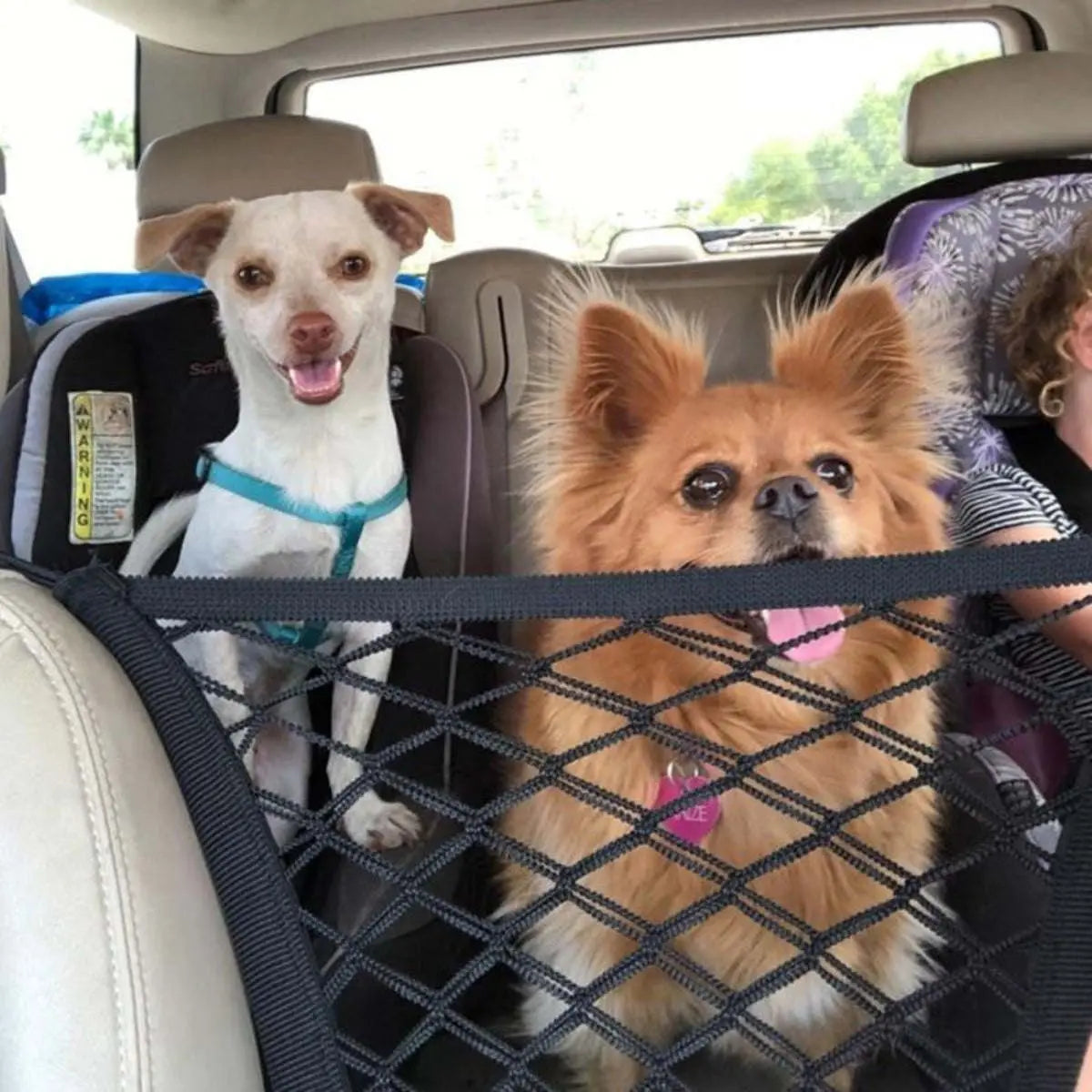 Pet Car Net Petition - VINE GLOBAL